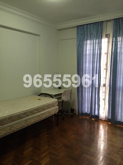 Parc Vista (D22), Condominium #66109992
